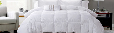 Down Comforters