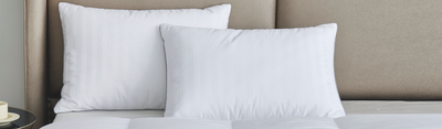 Feather & Down Pillows