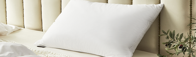 Organic Cotton Pillow