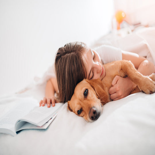 Allergens Free Waterproof Mattress Pad