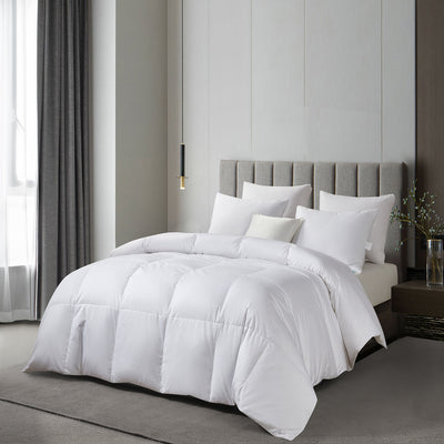 Martha Stewart 300tc Sateen Cotton RDS Down Comforter - Light Warmth